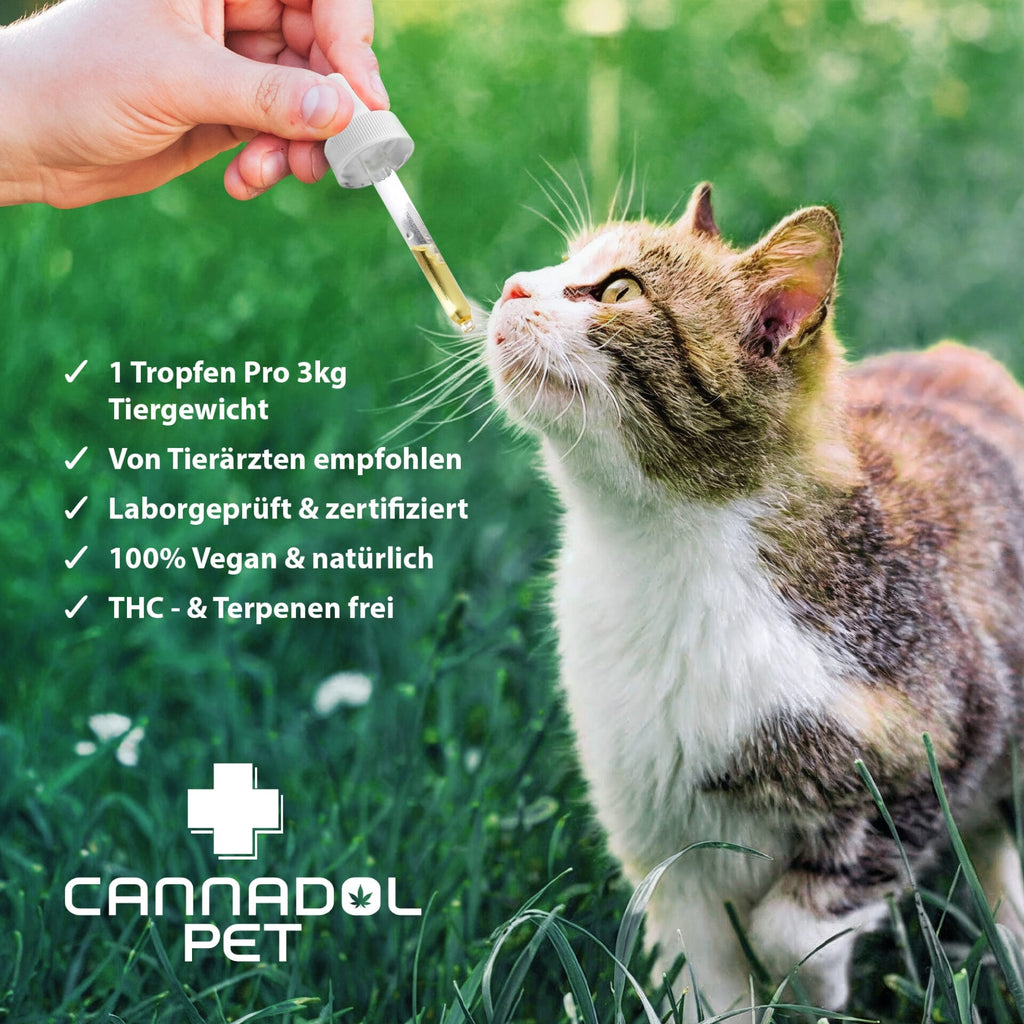 Cannadol Pet 3% Premium CBD Öl für Katzen - (10 ml)
