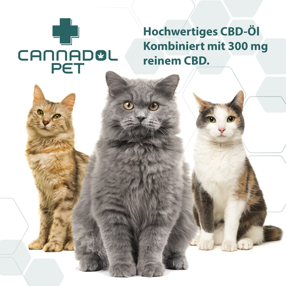 Cannadol Pet 3% Premium CBD Öl für Katzen - (10 ml)