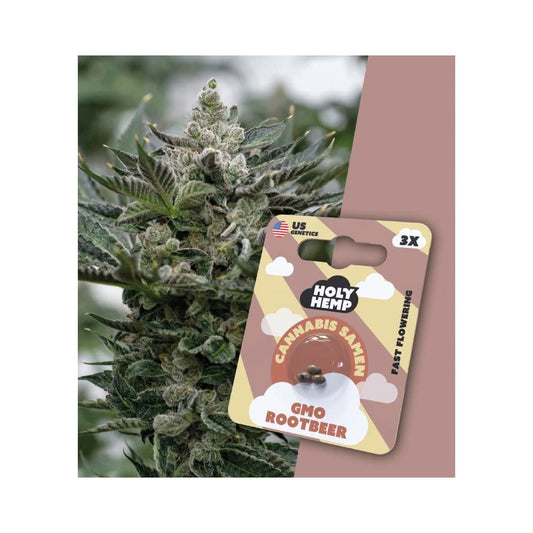 GMO Rootbeer | Fast Flowering Cannabissamen | Holy Hemp