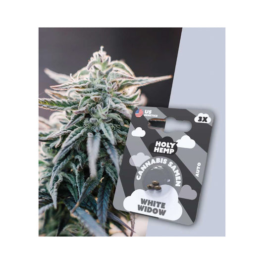 White Widow | Autoflowering Cannabissamen – Holy Hemp